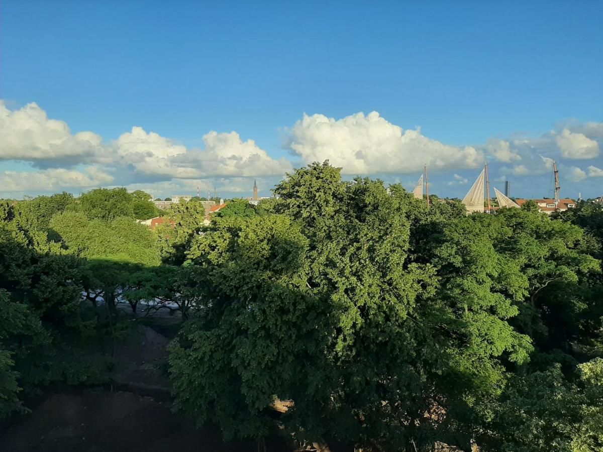 Апартаменты Great View Apartments Клайпеда